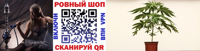 Магазин наркотиков Подольск Гашиш Alpha-PVP Меф КОКАИН