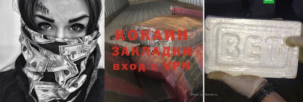 индика Дмитровск
