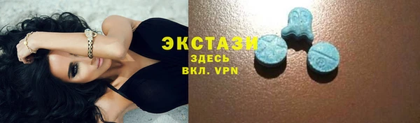 индика Дмитровск
