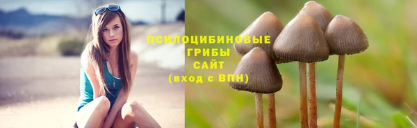 круглые Дмитриев