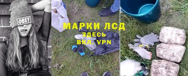 индика Дмитровск