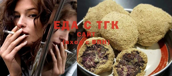 индика Дмитровск