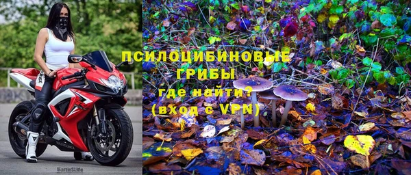 индика Дмитровск