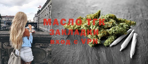 индика Дмитровск