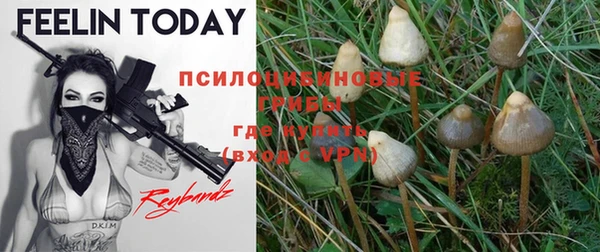 индика Дмитровск