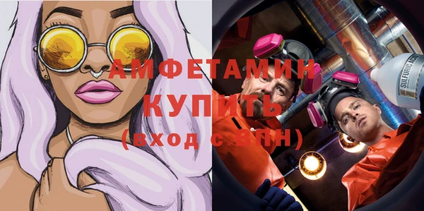индика Дмитровск