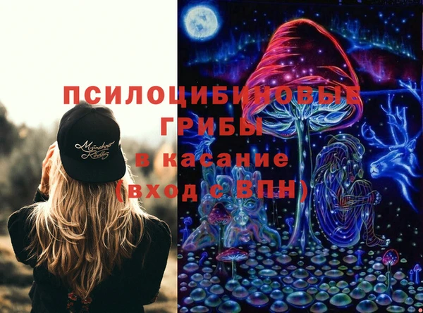 круглые Дмитриев