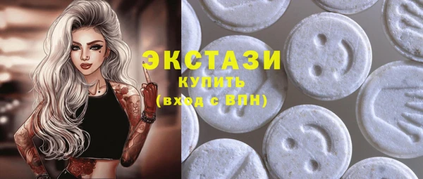 индика Дмитровск