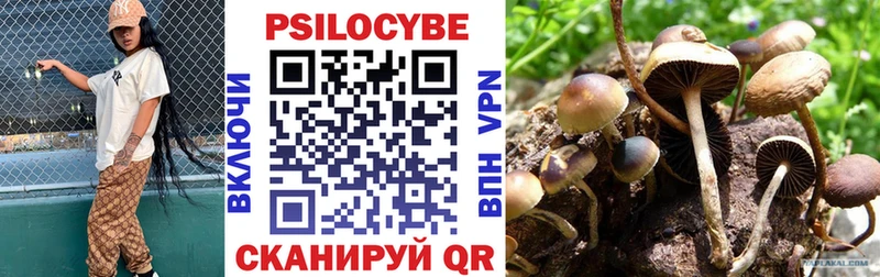 Псилоцибиновые грибы GOLDEN TEACHER  Подольск 